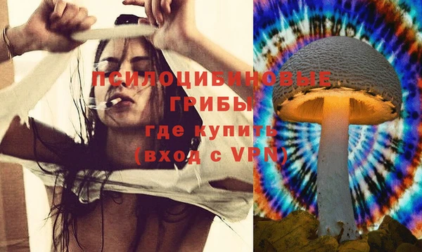 герыч Бердск